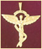 14k gold medical id charms