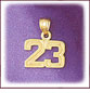 14K Gold Number Charm